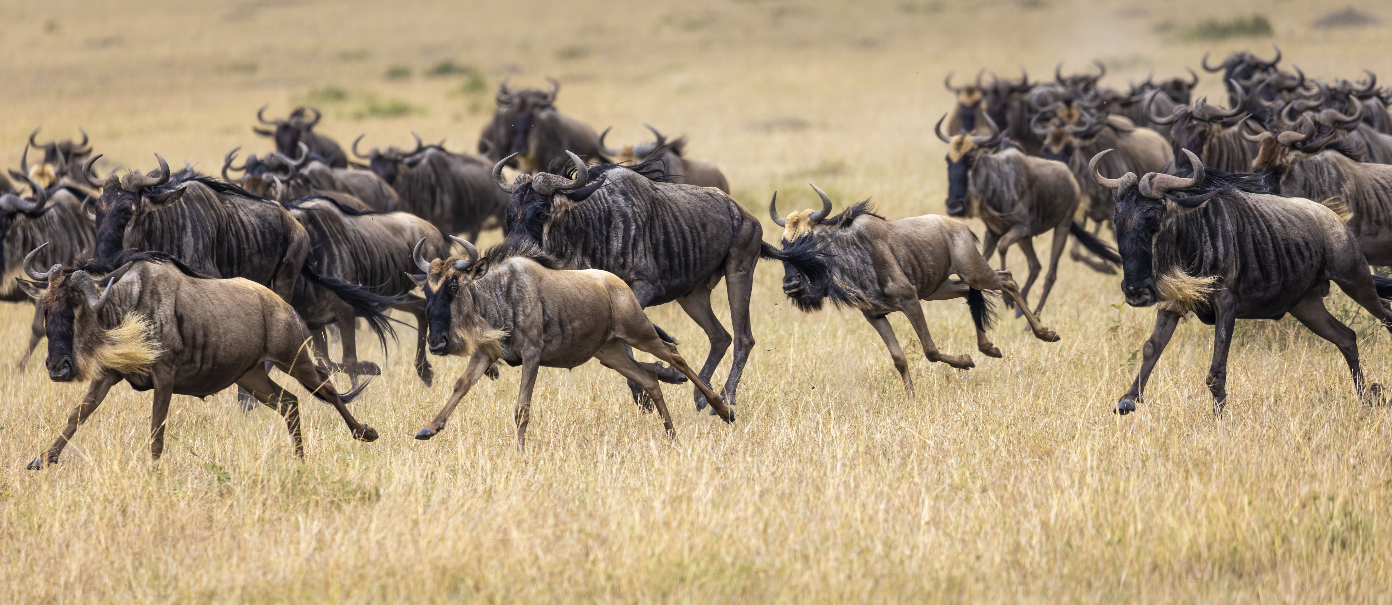 November 12, 2022-110204-6-Edit.jpg